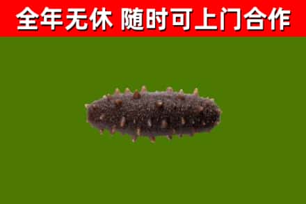大埔烟酒回收干海参.jpg